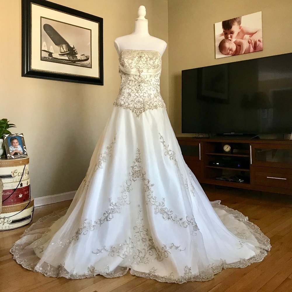 Gorgeous Wedding Gown Ivory-Silver & Gold